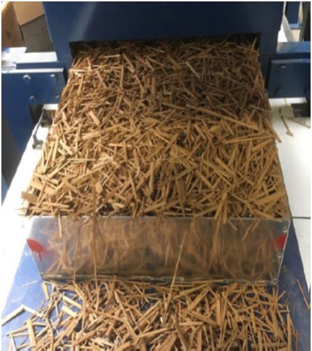 Production of typha panels