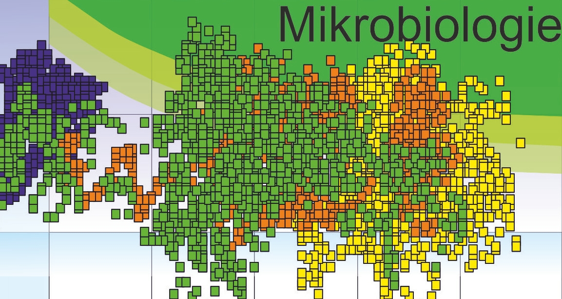 Risikobewertung für ein Innenraumklima