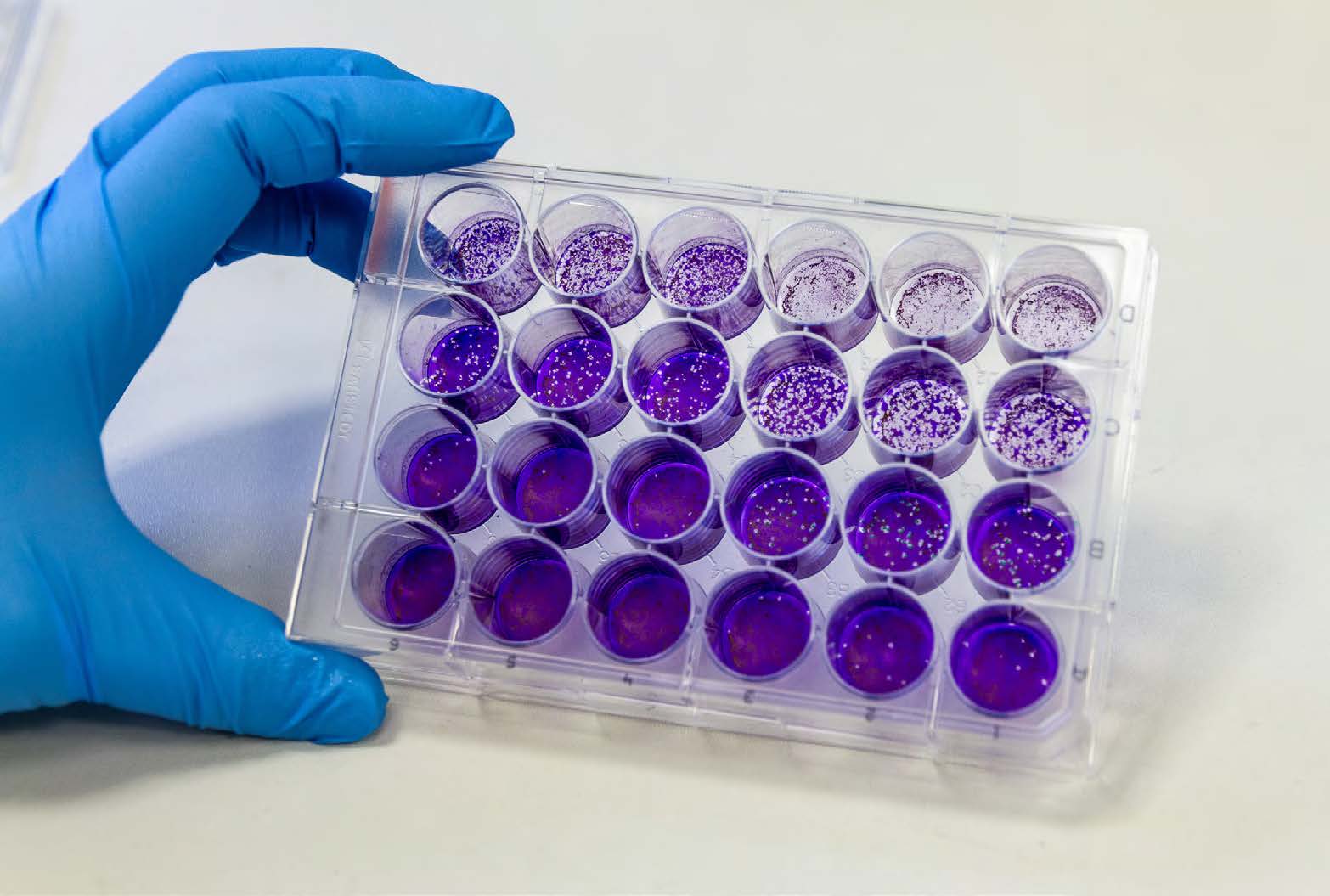 Virus-Aktivitätstest Gefilterte Luft wird mit dem Virus-Aktivitätstest untersucht