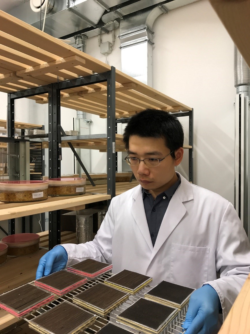 Dr. Zujian Huang mit Bambusproben