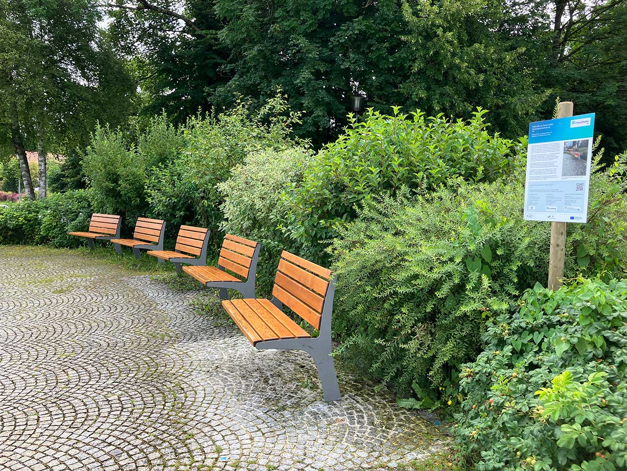 Versuchsfläche am Ende der Feldstudie