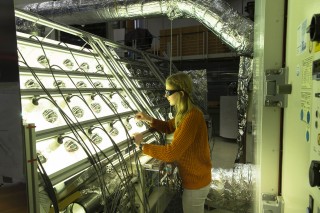 Besonnungsfeld für beschleunigte Bewitterung des Glasdachs