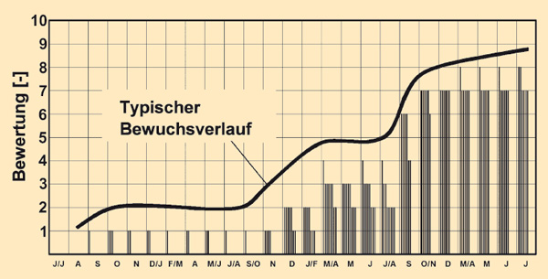 Typischer Wachstumsverlauf nach Freilandversuchen