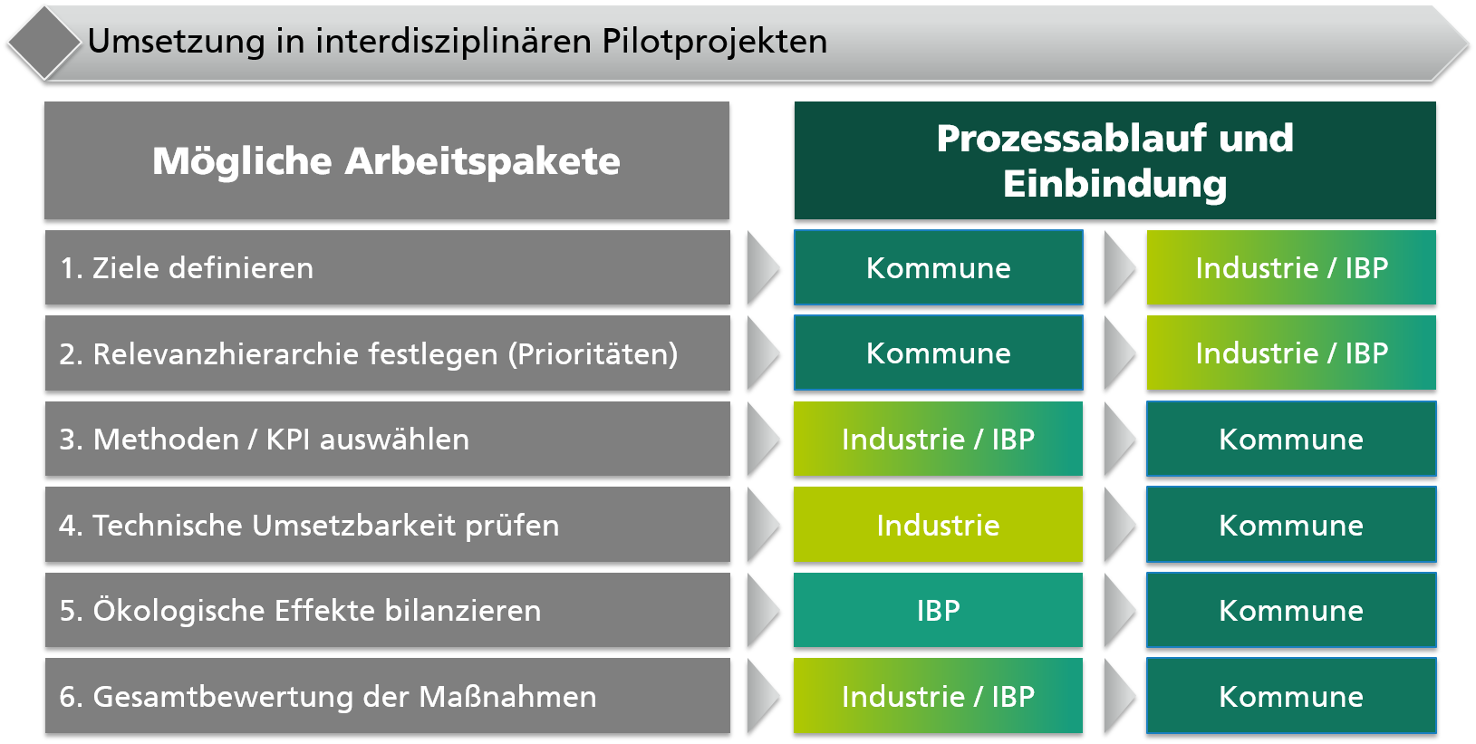 Ökologische Bewertung Projektablauf