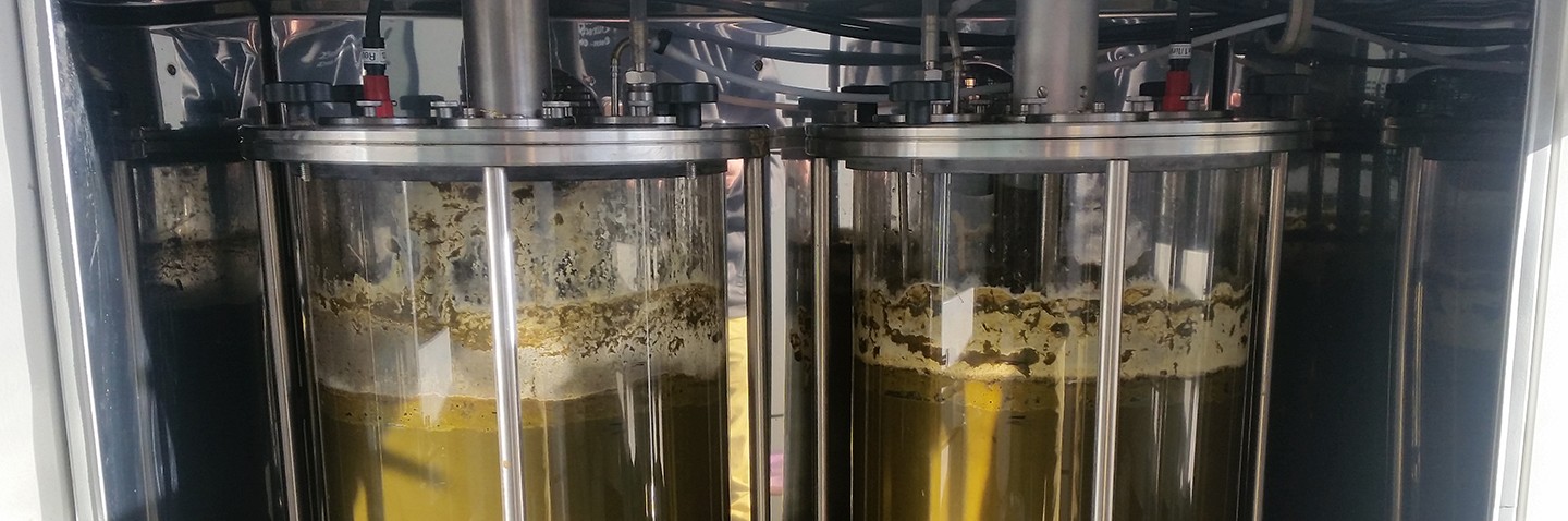 Generating biogas in the laboratory fermenter. Generating biogas in the laboratory fermenter.