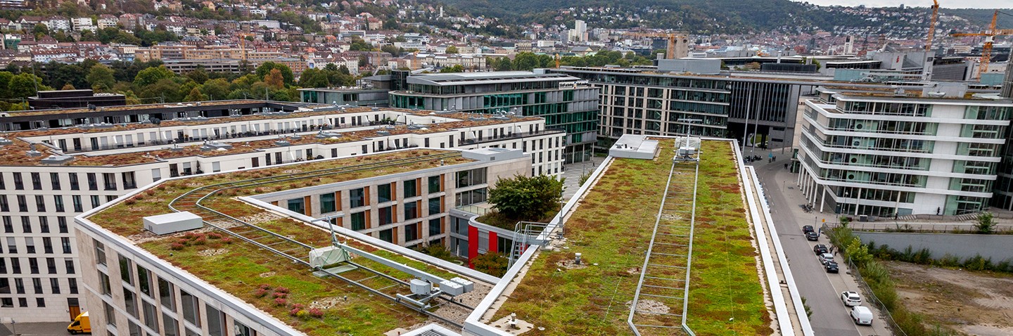 Greening surfaces in built-up areas is becoming ever-more important. Greening surfaces in built-up areas is becoming ever-more important.