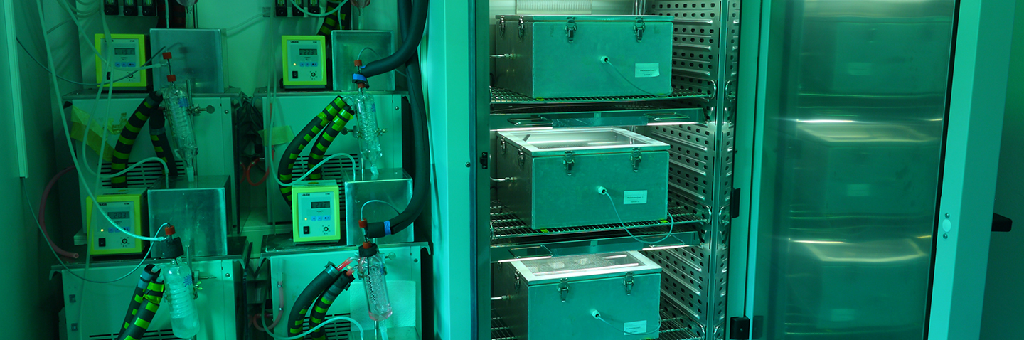 Facility for evaluating resistance to microbial growth. Facility for evaluating resistance to microbial growth.