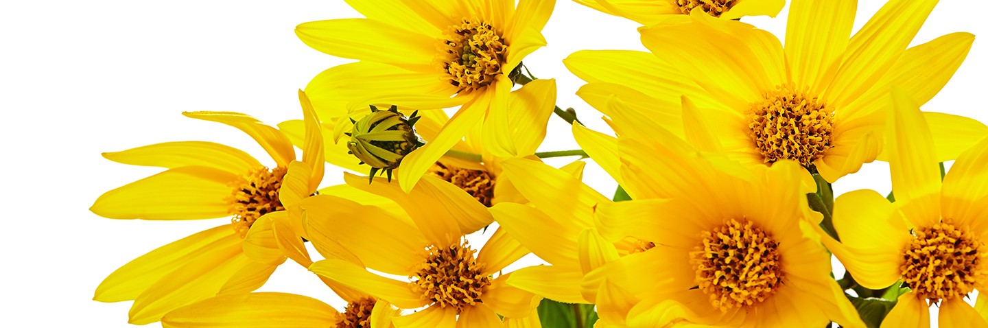 Land use and biodiversity Land use and biodiversity
