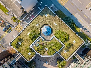 Green roofs in urban areas