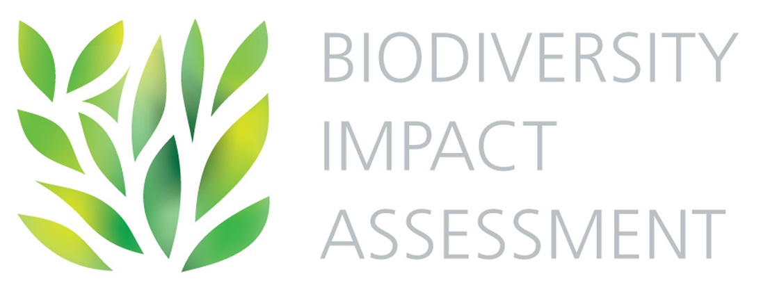 Logo Biodiversity Impact Assessment