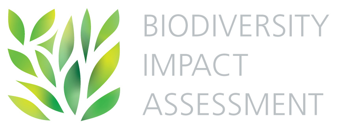 Logo Biodiversity Impact Assessment Logo Biodiversity Impact Assessment