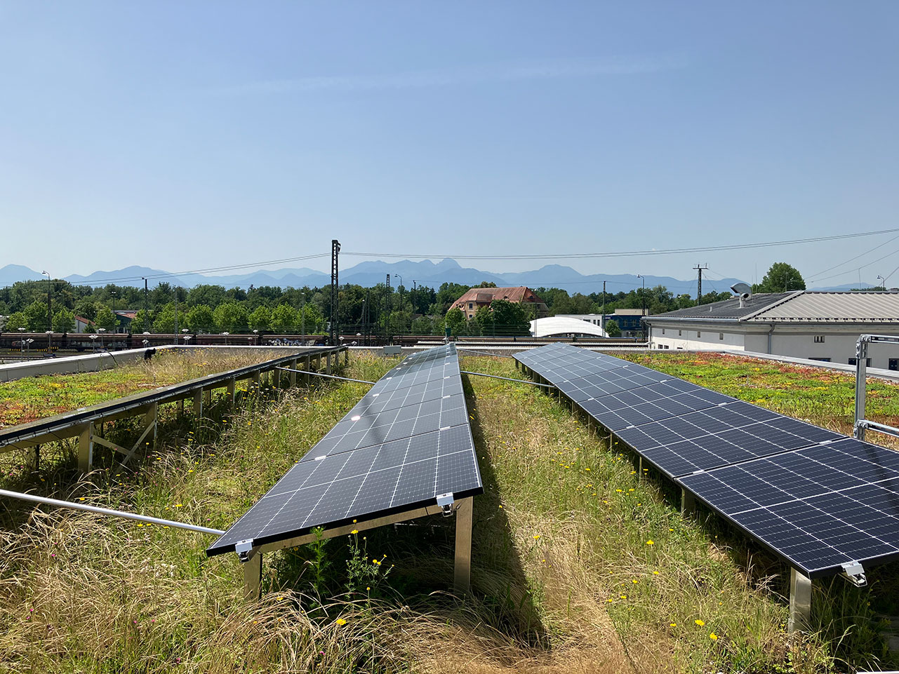 Solargründach Fahrradparkhaus Rosenheim
