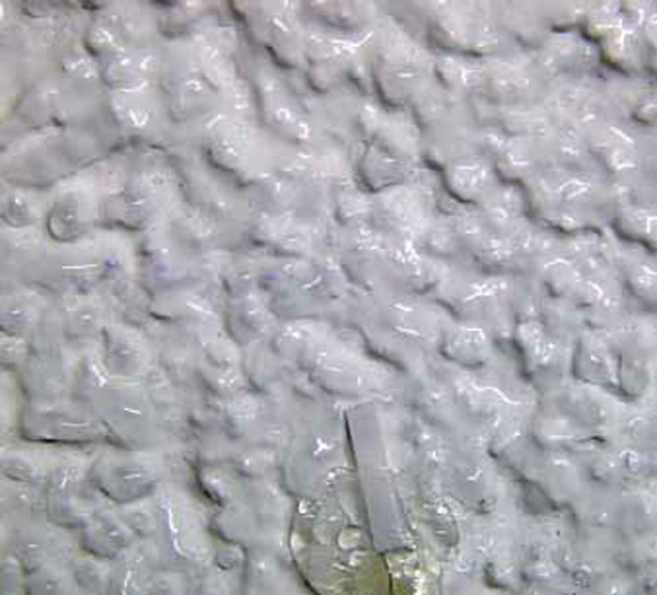 Specimen of a hydrophobic coating