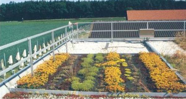 Green roof