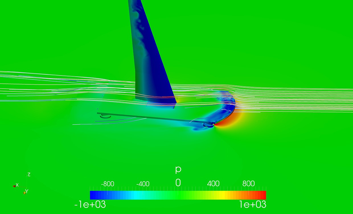The upper side of the wing The upper side of the wing